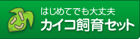 はじめてでも大丈夫 カイコ飼育セット