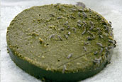 2ڂ̋a